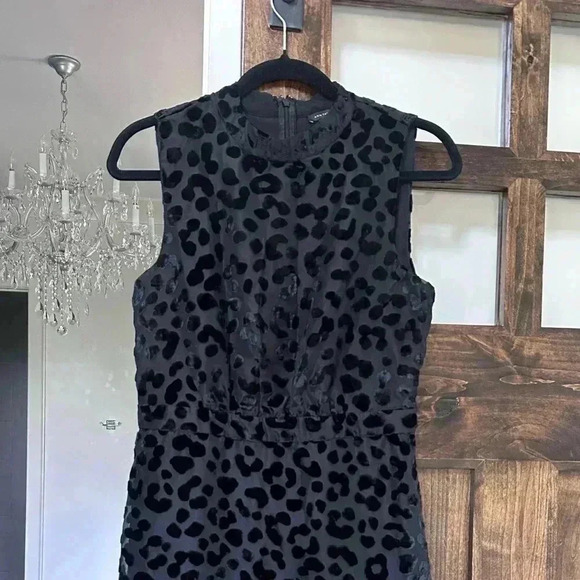 Ann Taylor Womens 6 Black Cheetah Velvet Mock Neck Party Sheath Dress Sleeveless - Picture 9 of 11